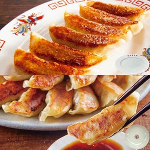 大阪王将 餃子2種セット(餃子皿・たれ皿付)【限定300点】(L8399)【ブラックフライデー】【サクワ】
