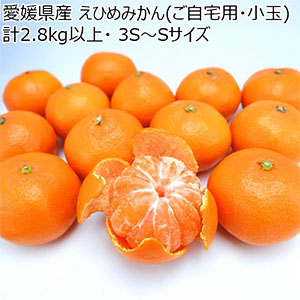 愛媛県産 えひめみかん(ご自宅用・小玉) 計2.8kg以上・ 3S〜Sサイズ【お届け期間:11月20日〜12月28日】【ブラックフライデー】【NN】