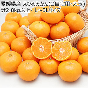 愛媛県産 えひめみかん(ご自宅用・大玉) 計2.8kg以上・ L〜3Lサイズ【お届け期間:11月20日〜12月28日】【ブラックフライデー】【NN】