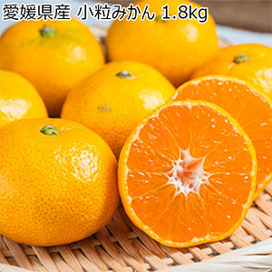 愛媛県産 小粒みかん 1.8kg【お届け期間:11月19日〜12月28日】【ブラックフライデー】【NN】