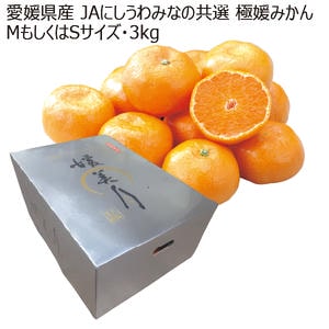 愛媛産 JAにしうわみなの共選 極媛みかん MサイズもしくはSサイズ・3kg【お届け期間:11月8日〜12月31日】【ブラックフライデー】【KN】