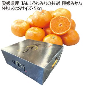 愛媛産 JAにしうわみなの共選 極媛みかん MサイズもしくはSサイズ・5kg【お届け期間:11月8日〜12月31日】【ブラックフライデー】【KN】