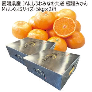 愛媛産 JAにしうわみなの共選 極媛みかん MサイズもしくはSサイズ・5kg×2箱【お届け期間:11月8日〜12月31日】【ブラックフライデー】【KN】