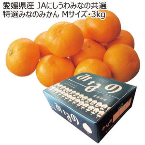 愛媛産 JAにしうわみなの共選 特選みなのみかん Mサイズ・3kg【お届け期間:11月8日〜12月31日】【ブラックフライデー】【KN】