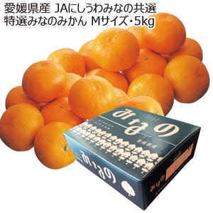 愛媛産 JAにしうわみなの共選 特選みなのみかん Mサイズ・5kg【お届け期間:11月8日〜12月31日】【ブラックフライデー】【KN】