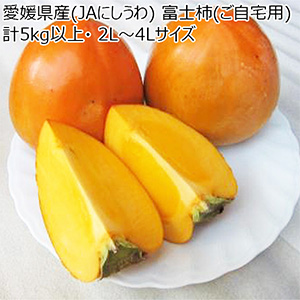 愛媛県産(JAにしうわ) 富士柿(ご自宅用) 計5kg以上・ 2L〜4Lサイズ【お届け期間:11月1日〜12月10日】【ブラックフライデー】【NN】