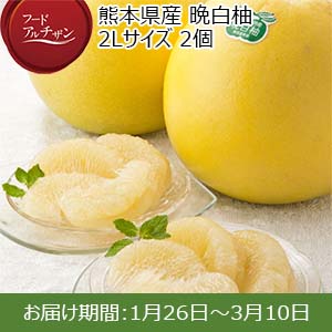 熊本県産 晩白柚 2Lサイズ2個【お届け期間：1/26〜3/10】【フードアルチザン】
