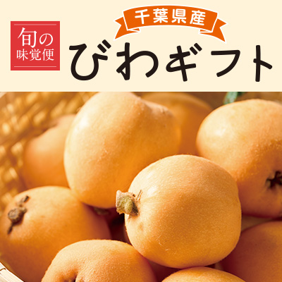 千葉県産 びわギフト