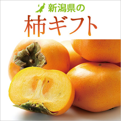 新潟柿ギフト