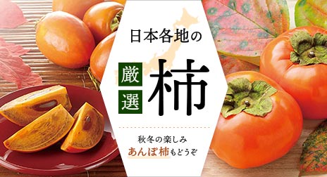 日本各地の厳選柿ギフト｜秋冬の楽しみ、あんぽ柿もどうぞ