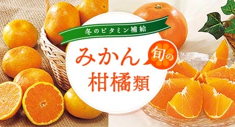冬のビタミン補給に　旬のみかん・柑橘類特集