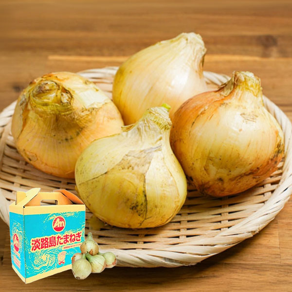 毎年のお待ちかね！淡路島の新たまねぎ