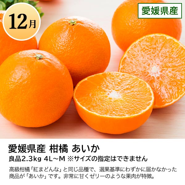 旬とごちそうコース「バイヤーお墨付き！おいしいくだもの紀行」　商品画像13