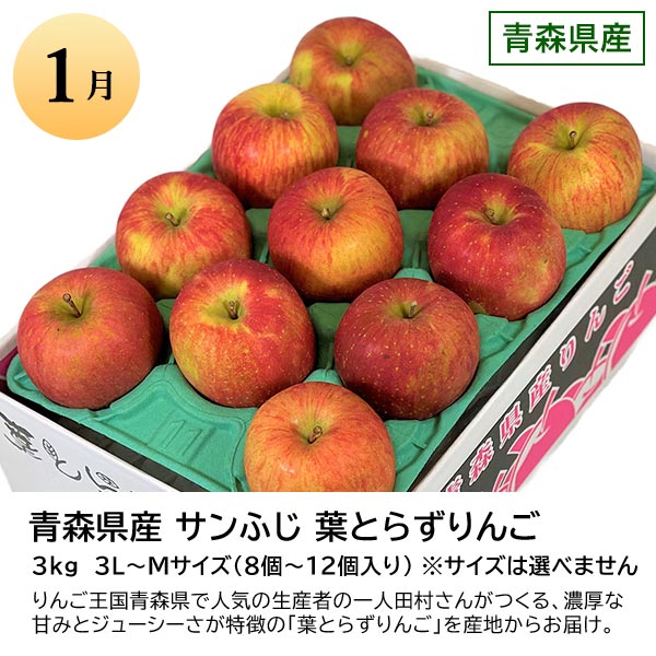 旬とごちそうコース「バイヤーお墨付き！おいしいくだもの紀行」　商品画像2