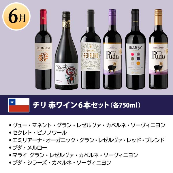 世界の赤ワイン6本セット　商品画像3