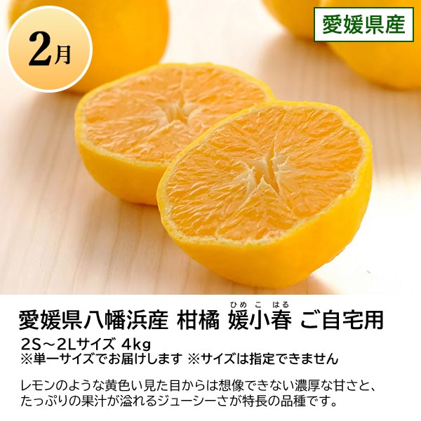 旬とごちそうコース「バイヤーお墨付き！おいしいくだもの紀行」　商品画像3