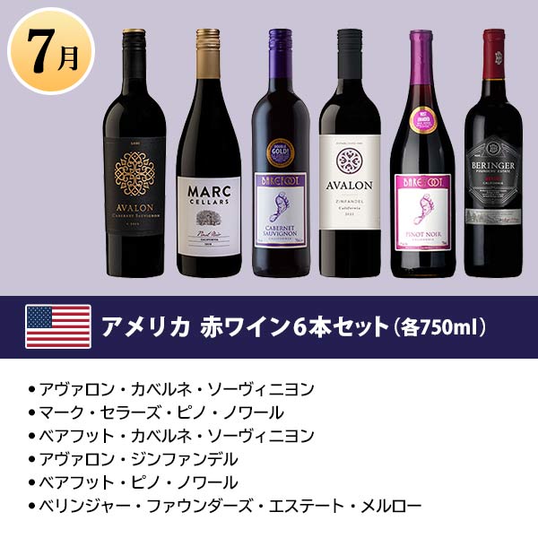 世界の赤ワイン6本セット　商品画像4
