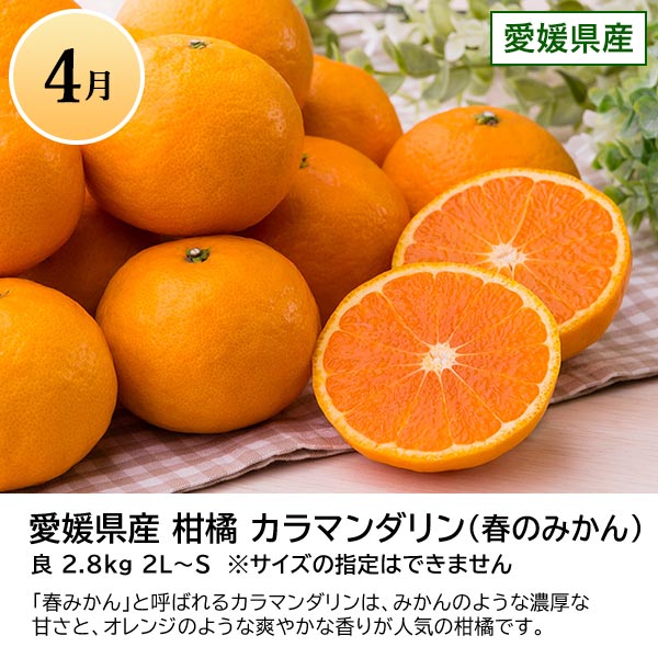 旬とごちそうコース「バイヤーお墨付き！おいしいくだもの紀行」　商品画像5