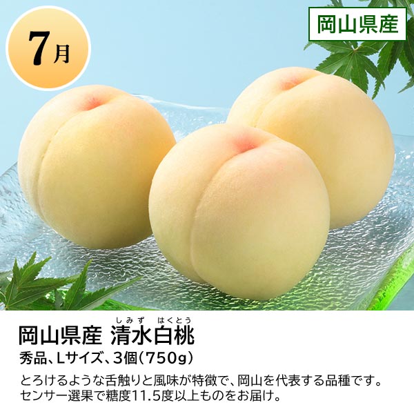 旬とごちそうコース「バイヤーお墨付き！おいしいくだもの紀行」　商品画像8